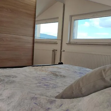 Lena 阿然德洛维克