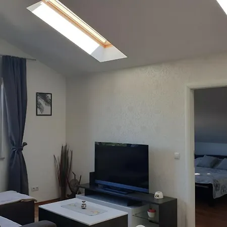 Lena 阿然德洛维克